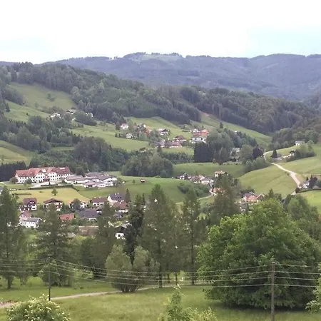 Vakantiehuis Infanglalm 